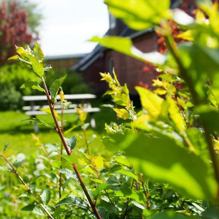 Deichtraum Hedwigenkoog Villa Luaran gambar